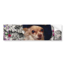 Chi Chi in Flowers  - Chihuahua Puppy in Cute Hat Bumper Sticker