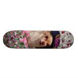 Chi Chi in Flowers  - Chihuahua Puppy in Cute Hat Skate Boards