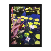 chicago botanic garden post card