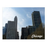 Chicago Buildings Postcard
