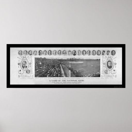 Chicago Cubs Baseball Champions Photo 1907 Posters