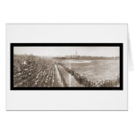 Chicago Cubs Baseball Photo 1904 cards