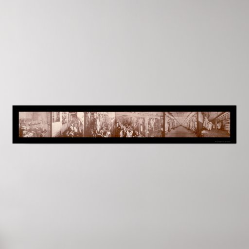 Chicago, IL Beef Photo 1900 Poster