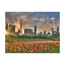 Chicago, IL Postcard