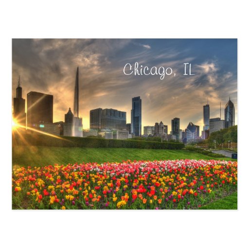 Chicago, IL Postcard