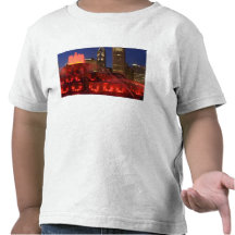 Chicago, Illinois, Buckingham Fountain Tees
