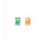 Chicago Irish Flag t-shirts