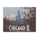 chicago - the bean postcards
