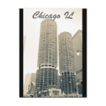 chicago - the bean postcards