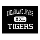Chicagoland Jewish - Tigers - High - Deerfield Post Cards