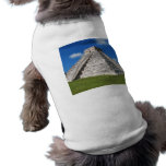 Chichen Itza pet clothing