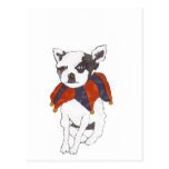 Chichuahua Post Cards