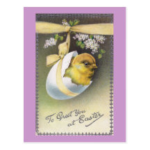 Chick in Hanging Eggshell Vintage Easter Post Card