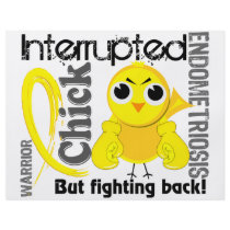 Chick Interrupted 3 Endometriosis
