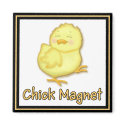 Chick Magnet