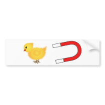 Chick Magnet