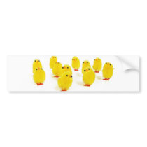 Chick magnet chillin with my peeps funny photo