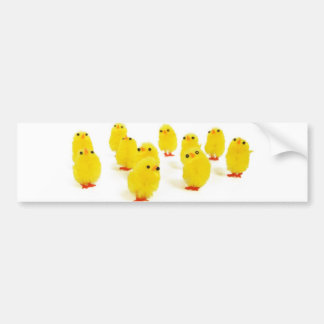 Chick magnet chillin with my peeps funny photo bumper sticker