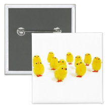 Chick magnet chillin with my peeps funny photo pin