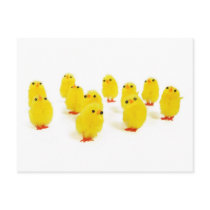 Chick magnet chillin with my peeps funny photo