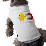Chick Magnet pet clothing