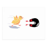Chick Magnet Post Card