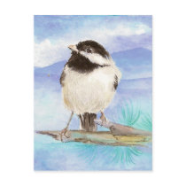Chickadee, Bird, Wildlife, Nature,  Postcard