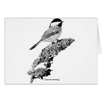 Chickadee