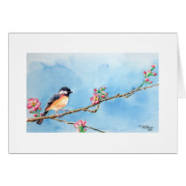 Chickadee