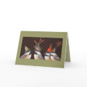 Chickadee card
