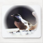 Chickadee  ee mousepads