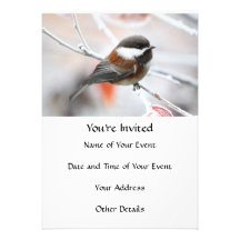 Chickadee in Winter Announcements