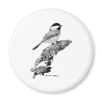 Chickadee