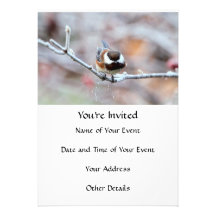 Chickadee on a Frosty Tree Branch Custom Invitation