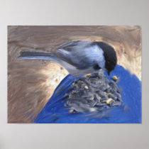 Chickadee on my Knee Poster