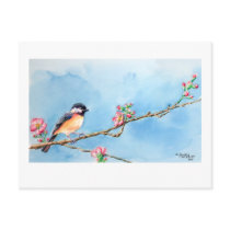 Chickadee