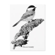 Chickadee