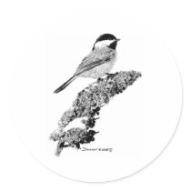 Chickadee