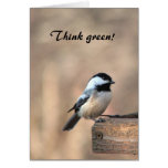 Chickadee Think Green cards