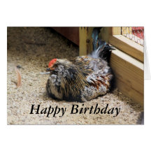 Chicken Birthday Card