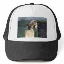 Chicken Dinner Mesh Hats