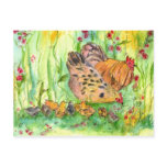 Chicken Hen Family Bird Watercolor Postcard