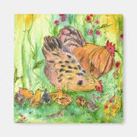 Chicken Rooster Hen Chicks Watercolor Magnet