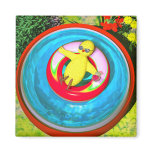 Chicken Soup magnets