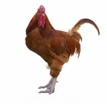Chicken Statue Cut Outs