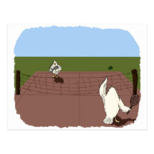 Chicken Tennis Post Card
