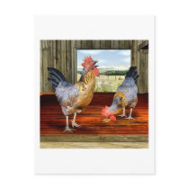 Chickens in Barn Postcard