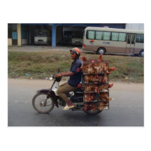 Chickens on Motorbike-Vietnam Postcards