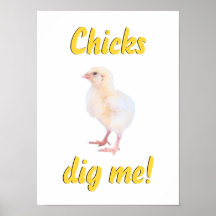Chicks Dig Me Posters