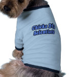 Chicks Dig Scientists pet clothing